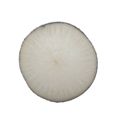 Beyaz arka planda izole raphanus closeup 