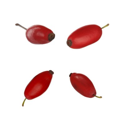 Böğürtlen, yemek arka plan closeup 