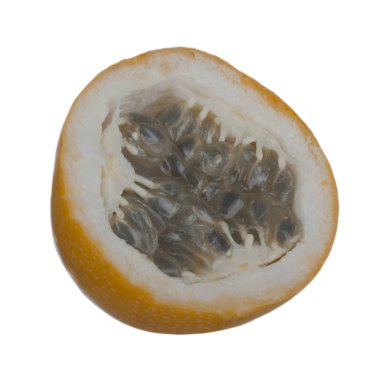 Ligularis closeup, passiflora çekim beyaz izole