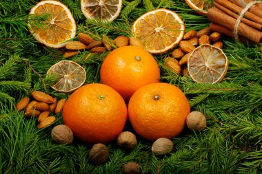 Çam dalları, meyve ve baharat yapılmış Advent kompozisyon.