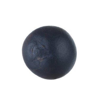 Juniper berry izole üzerinde beyaz arka plan