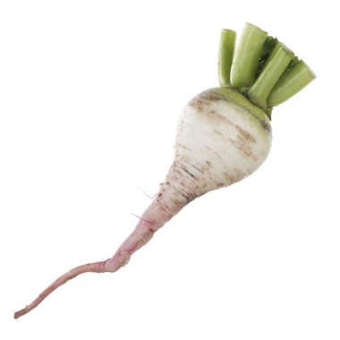 Beyaz arka planda izole raphanus closeup 