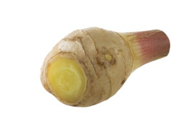 Beyaz arkaplanda zencefil kökü izole edildi