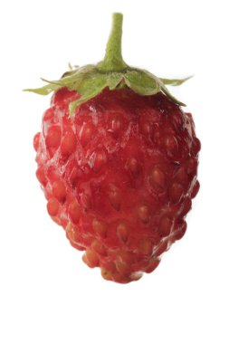 Beyaz üzerinde izole vahşi çilek closeup 