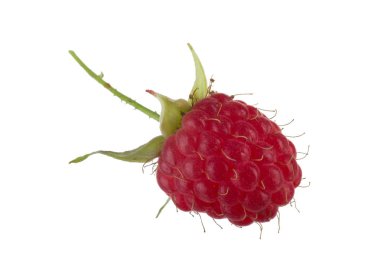 Olgun kırmızı ahududu beyaz arkaplanda izole