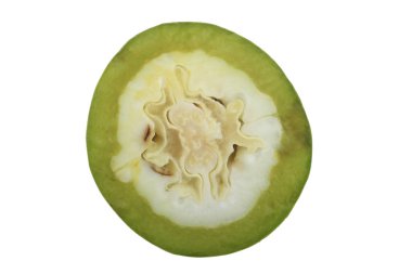 Beyaz arka planda izole edilmiş cevizin yakın çekim