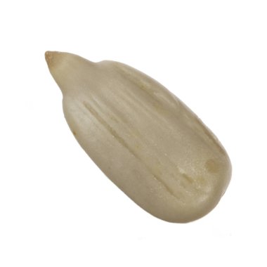 Beyaz arka planda izole ayçiçeği tohumu yakın çekim 