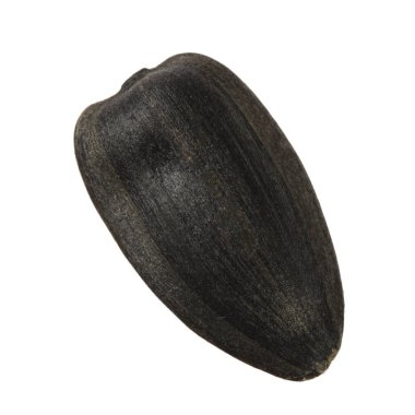 Beyaz arka planda izole ayçiçeği tohumu yakın çekim 