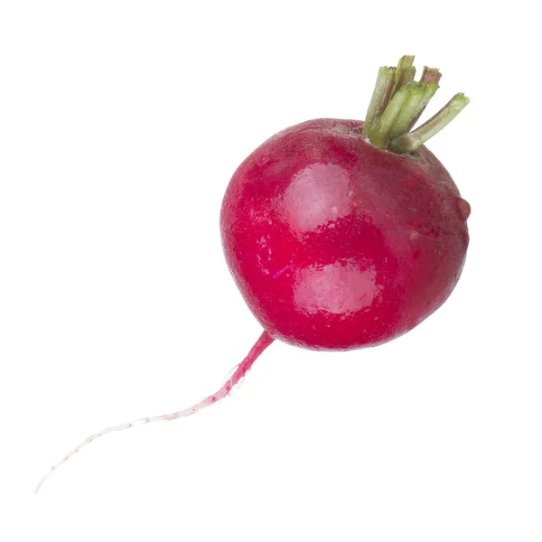 Fresh Radish Isolated White Background — Stock Photo, Image