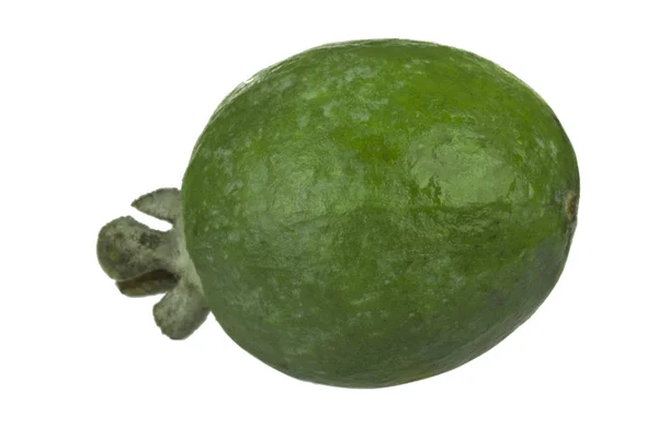 Feijoa Fresco Isolato Sfondo Bianco — Foto Stock