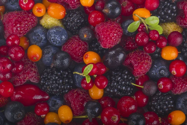 Variety Fresh Berries Healthy Eating Concept — Stock Photo, Image