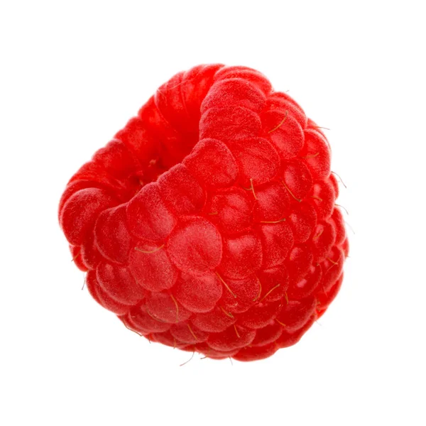 Ripe Red Raspberry Isolated White Background — Stock Photo, Image