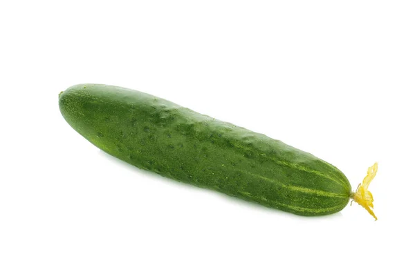 Raw Ripe Green Cucumber Isolated White Background — Stock Photo, Image