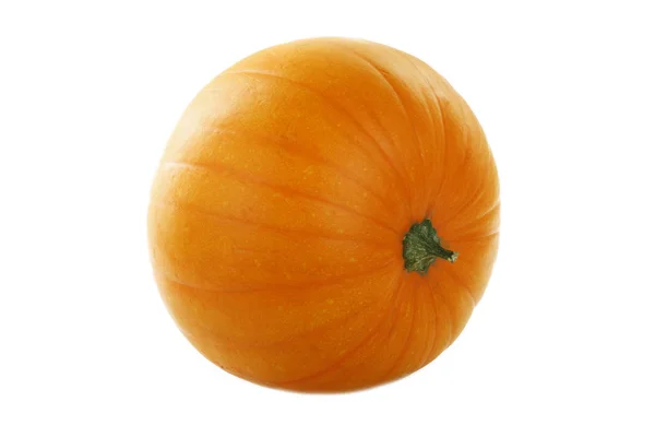 Primo Piano Zucca Isolata Sfondo Bianco — Foto Stock