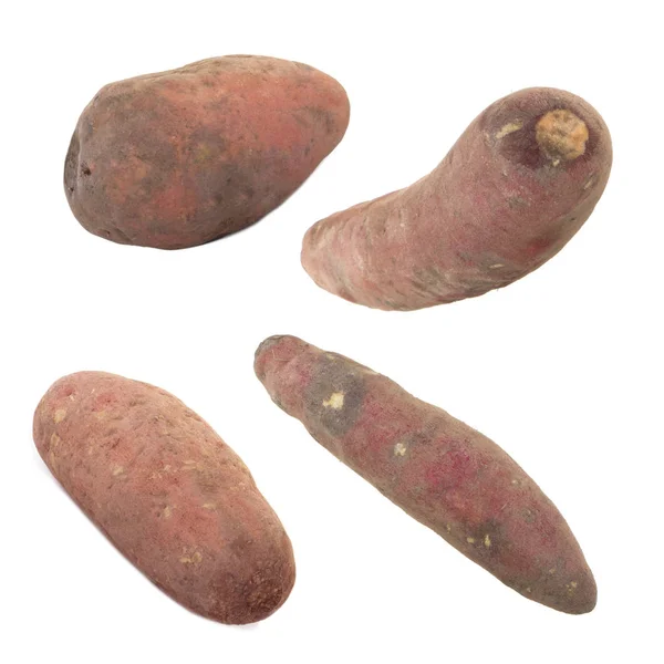 Närbild Sötpotatis Mat Bakgrund — Stockfoto