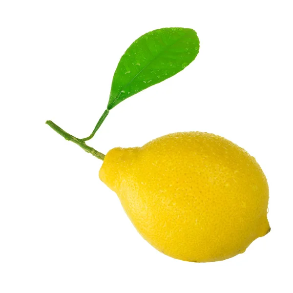 Kypsä Keltainen Sitruuna Eristetty Valkoisella Pohjalla — kuvapankkivalokuva