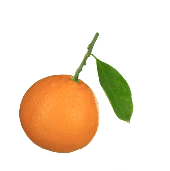 Mandarin Isolated White Background — Stock Photo, Image