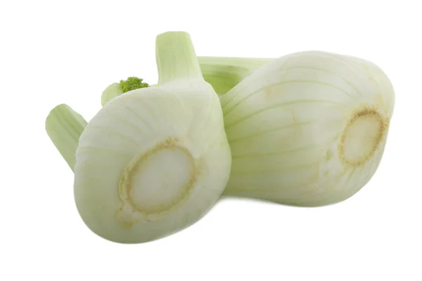 Aromatische Venkel Geïsoleerd Witte Achtergrond — Stockfoto