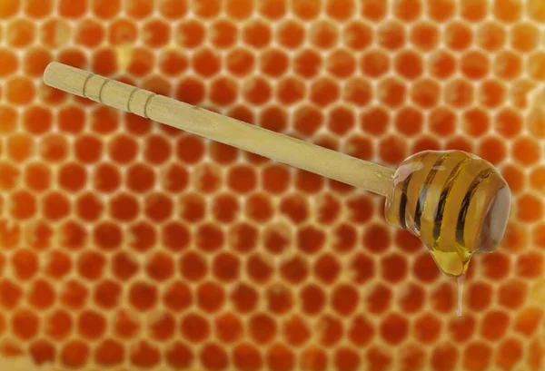 Närbild Skott Naturlig Honung Mat Bakgrund — Stockfoto