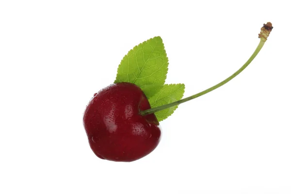 Single red cherry isolated on white background