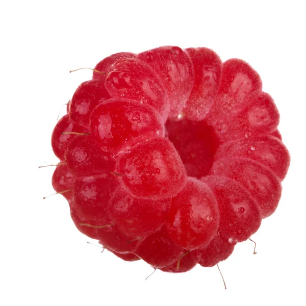 白い背景に隔離された熟した赤いラズベリー — ストック写真