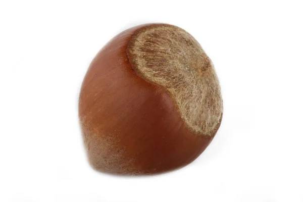 Closeup Nut Isolated White Background — Stock Photo, Image