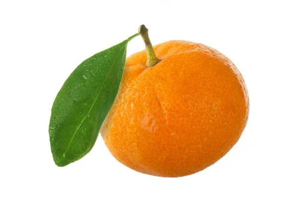 Mandarina Aislada Sobre Fondo Blanco — Foto de Stock