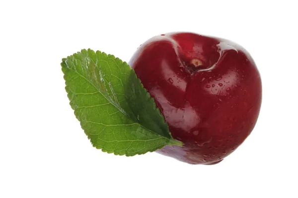 Penutup Cherry Terisolasi Pada Latar Belakang Putih — Stok Foto