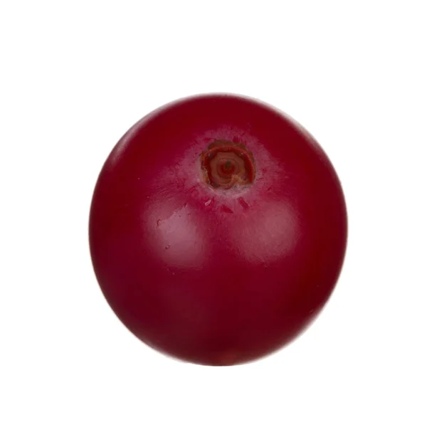 Closeup Cranberry Isolated White Background — Stock Photo, Image