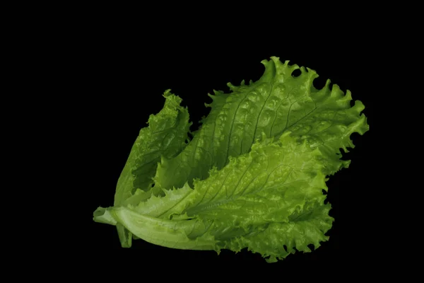 Closeup Green Lettuce Black Background — Stock Photo, Image