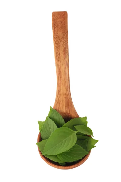 Nahaufnahme Eines Kochlöffels Mit Blättern — Stockfoto