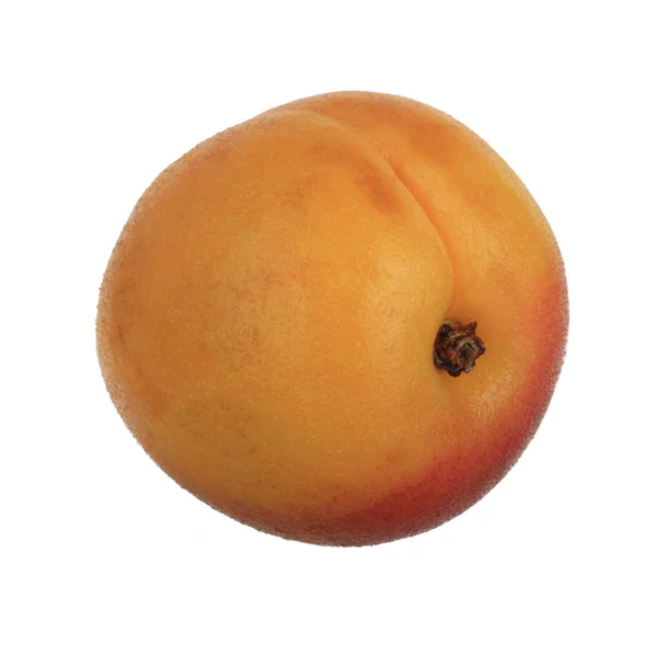 Ripe Apricot Isolated White Background — Stock Photo, Image