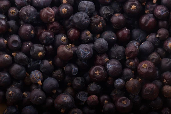 Ardıç meyveleri arka plan closeup