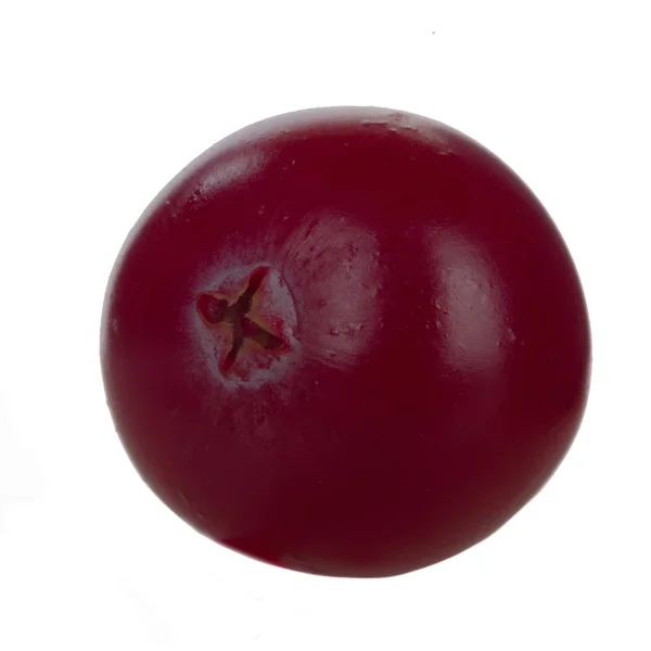 Penutup Cranberry Diisolasi Pada Latar Belakang Putih — Stok Foto