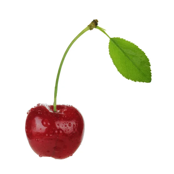 Jediné Červené Cherry Izolovaných Bílém Pozadí — Stock fotografie