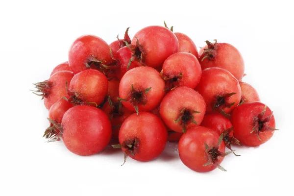 Huckleberry Élelmiszer Háttér Closeup — Stock Fotó