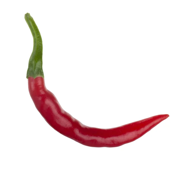 Chilli Paprika Izolovaných Bílém Pozadí — Stock fotografie