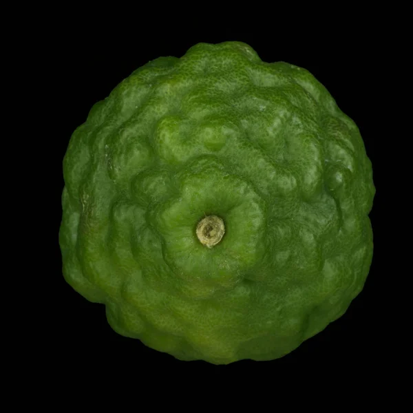 Närbild Kaffir Skott Grön Citrusfrukter — Stockfoto