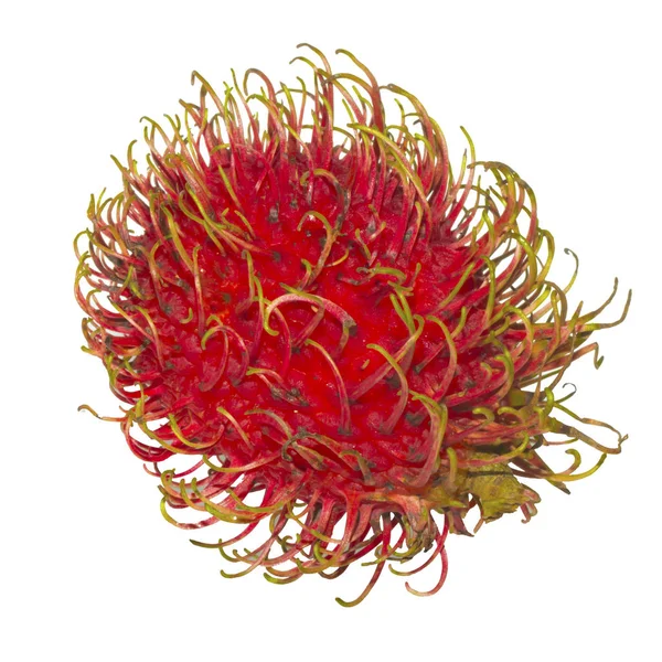 Rambutan meyvesi beyaz arkaplanda izole