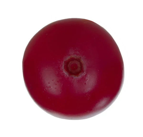 Closeup Cranberry Isolated White Background — Stock Photo, Image