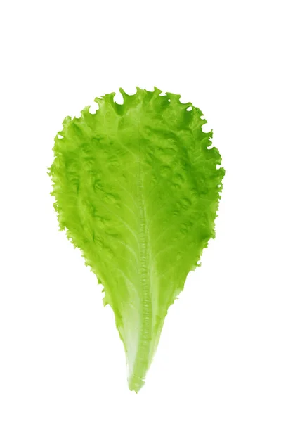 Closeup Zöld Saláta Elszigetelt Fehér Háttér — Stock Fotó
