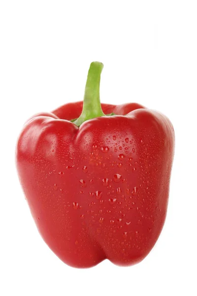 Closeup Pepper Isolated White — Stock Photo, Image