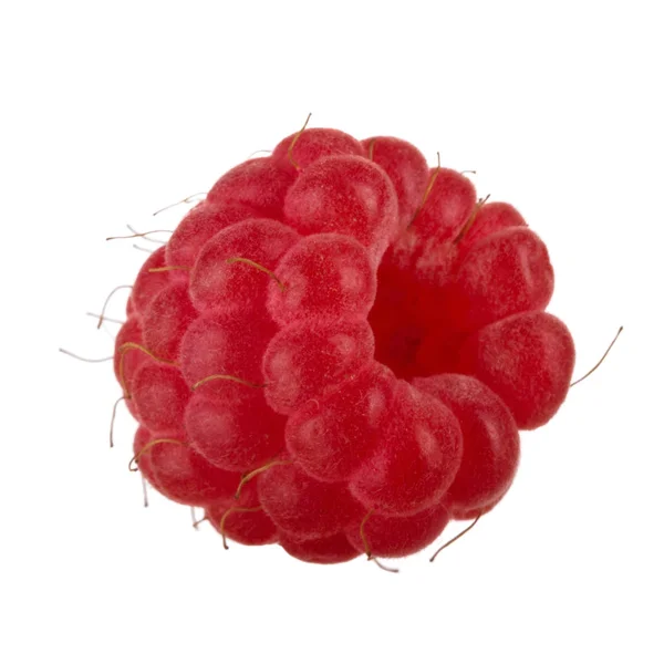 Red Raspberry Isolated White Background — Stock Photo, Image