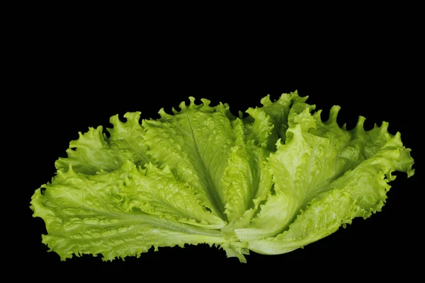 Nahaufnahme Von Grünem Salat Auf Schwarzem Hintergrund — Stockfoto
