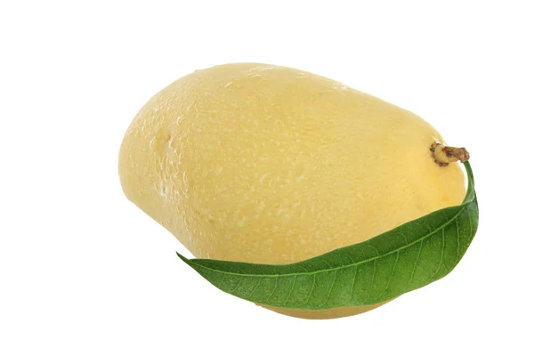 Frutto Fresco Mango Crudo Isolato Fondo Bianco — Foto Stock