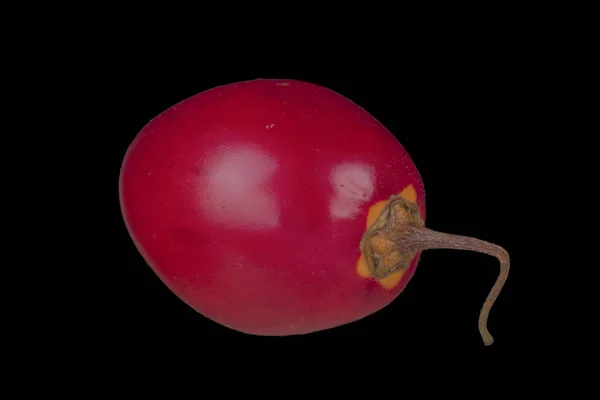 Primer Plano Tamarillo Fruta Exótica — Foto de Stock
