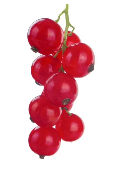 Närbild Röda Vinbär Isolerad Vit Bakgrund — Stockfoto