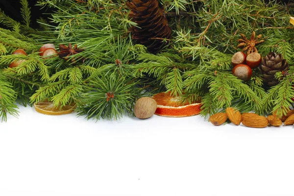 针叶枝的特写 圣诞背景 — 图库照片