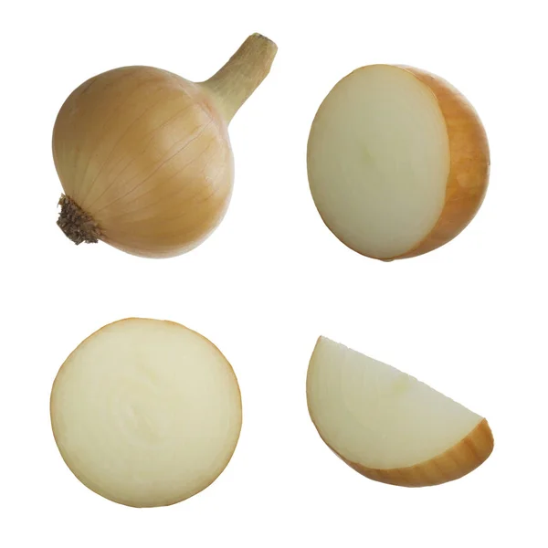 Closeup Onion Isolated White Background — Stock Photo, Image