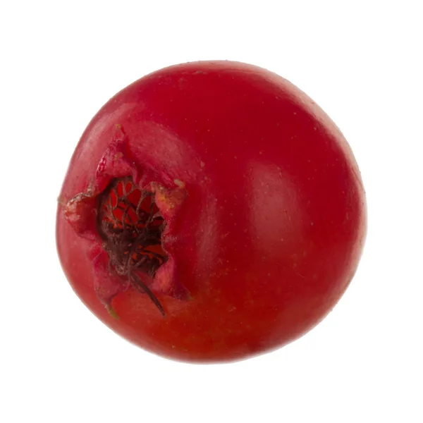 Penutup Haw Berry Diisolasi Pada Latar Belakang Putih — Stok Foto